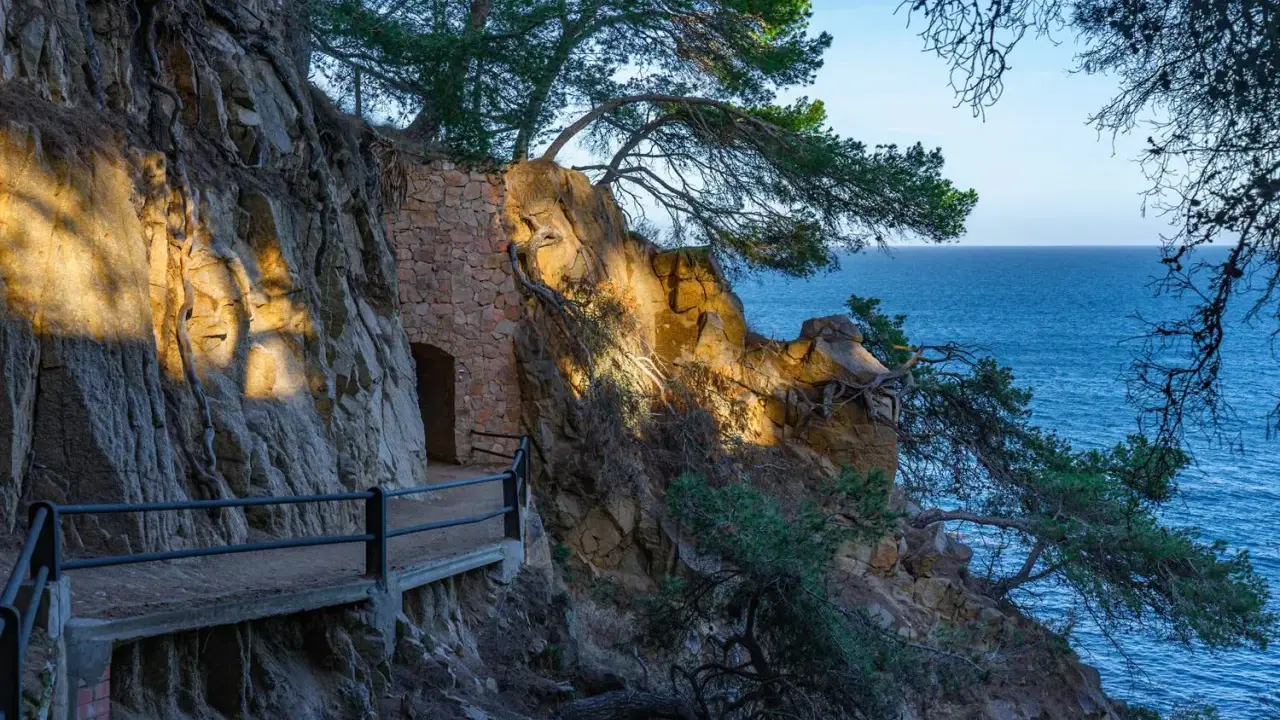 Kamienna ścieżka cami de ronda wije się wzdłuż skalistego wybrzeża. Morze lśni w oddali, a drzewa oplatają skały.