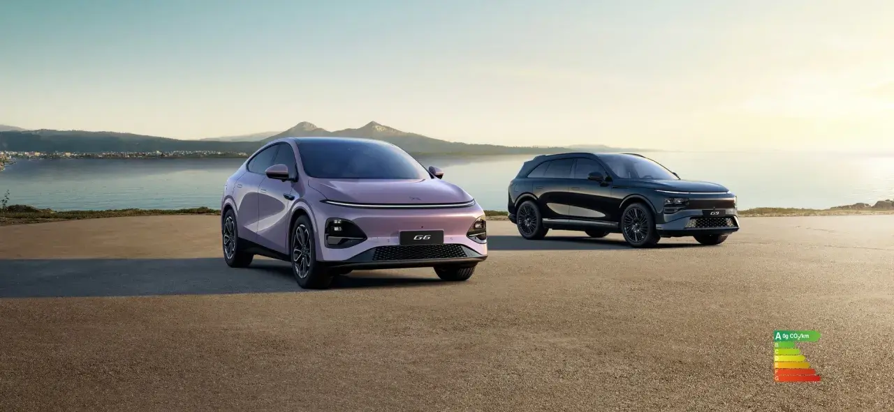 Deux voitures électriques, une rose et une noire, stationnées au bord de l'eau. Le modèle rose, un x peng, est plus proche.