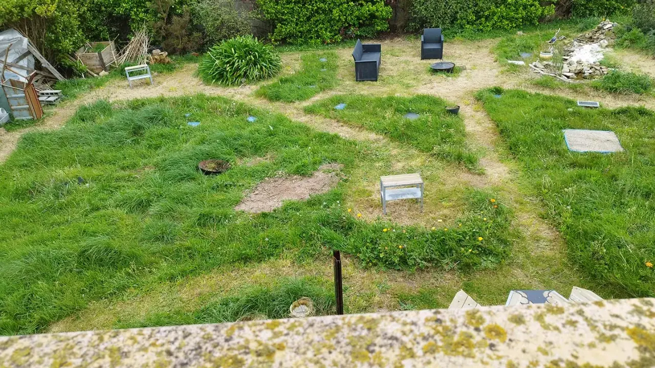 Un jardin envahi par l'herbe haute, prêt à être entretenu. Il faudra bientôt tondre la pelouse pour redonner une belle apparence à cet espace extérieur.
