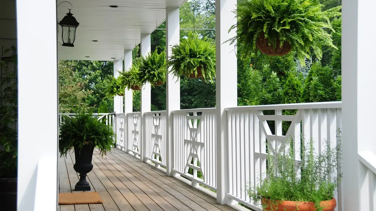 Porche con helechos colgantes y macetas de hierbas, creando un ambiente natural con plantas que ahuyentan los mosquitos.