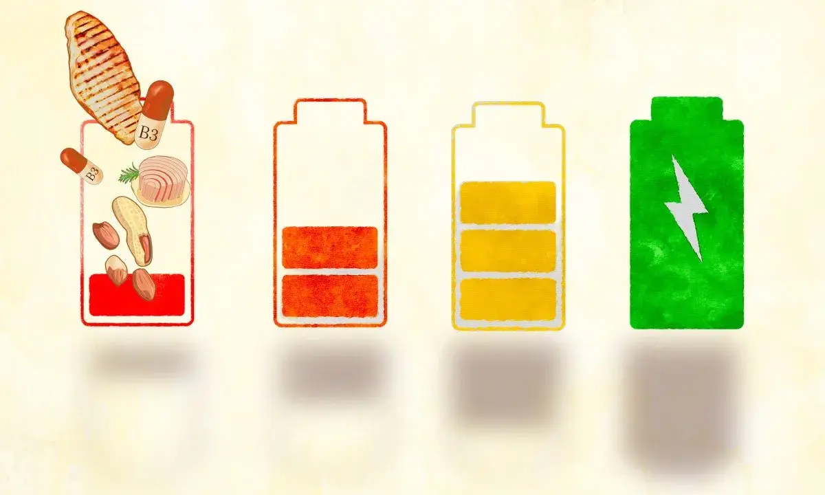 Batteries symbolisant l'énergie : une rouge avec des aliments et vitamine B3, une orange à moitié vide, une jaune presque pleine, et une verte pleine d'énergie.