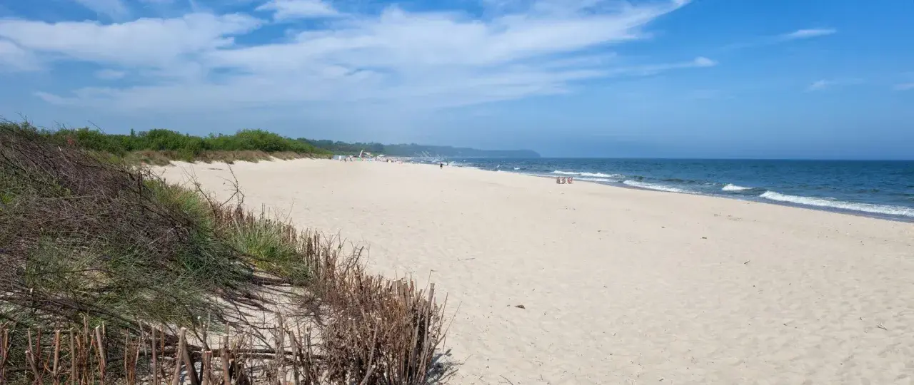 Swarzewo plaża: piaszczysta, szeroka, z wydmami i zielenią. Błękitne niebo, spokojne morze.