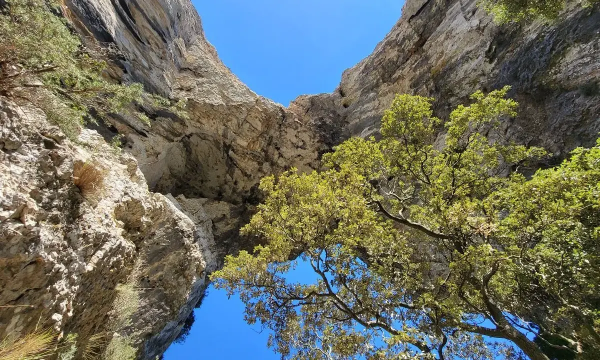 Vue plongeante sur le sentier du Portalas, entre falaises rocheuses et feuillage verdoyant sous un ciel bleu éclatant.