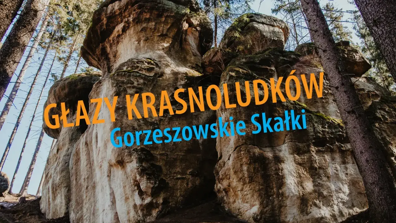 Głazy krasnoludków w Gorzeszowskich Skałkach, potężne formacje skalne wśród drzew, wyglądają jak kamienne cuda natury.