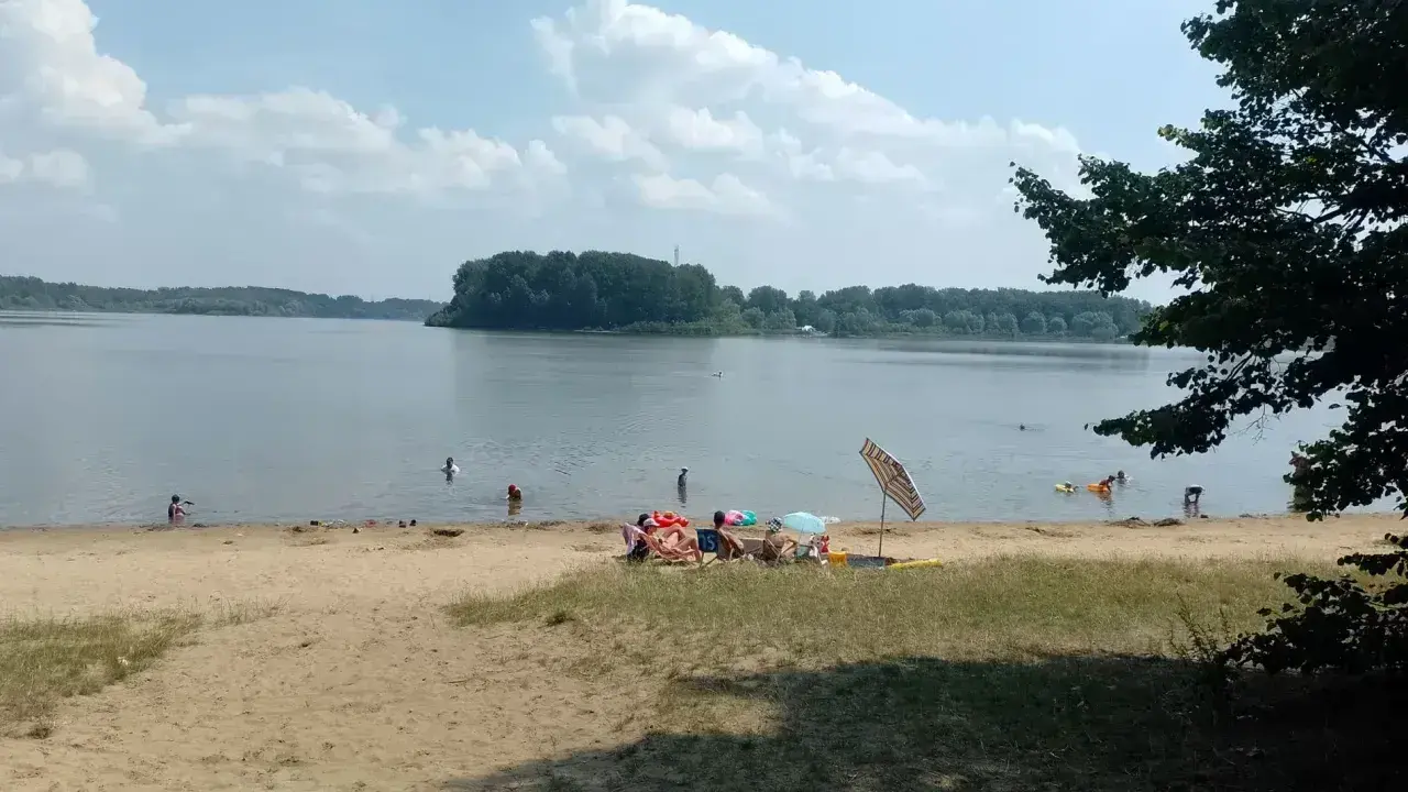Słoneczny dzień nad jeziorem przeczyckim. Ludzie odpoczywają na piaszczystej plaży, kąpią się i pływają.