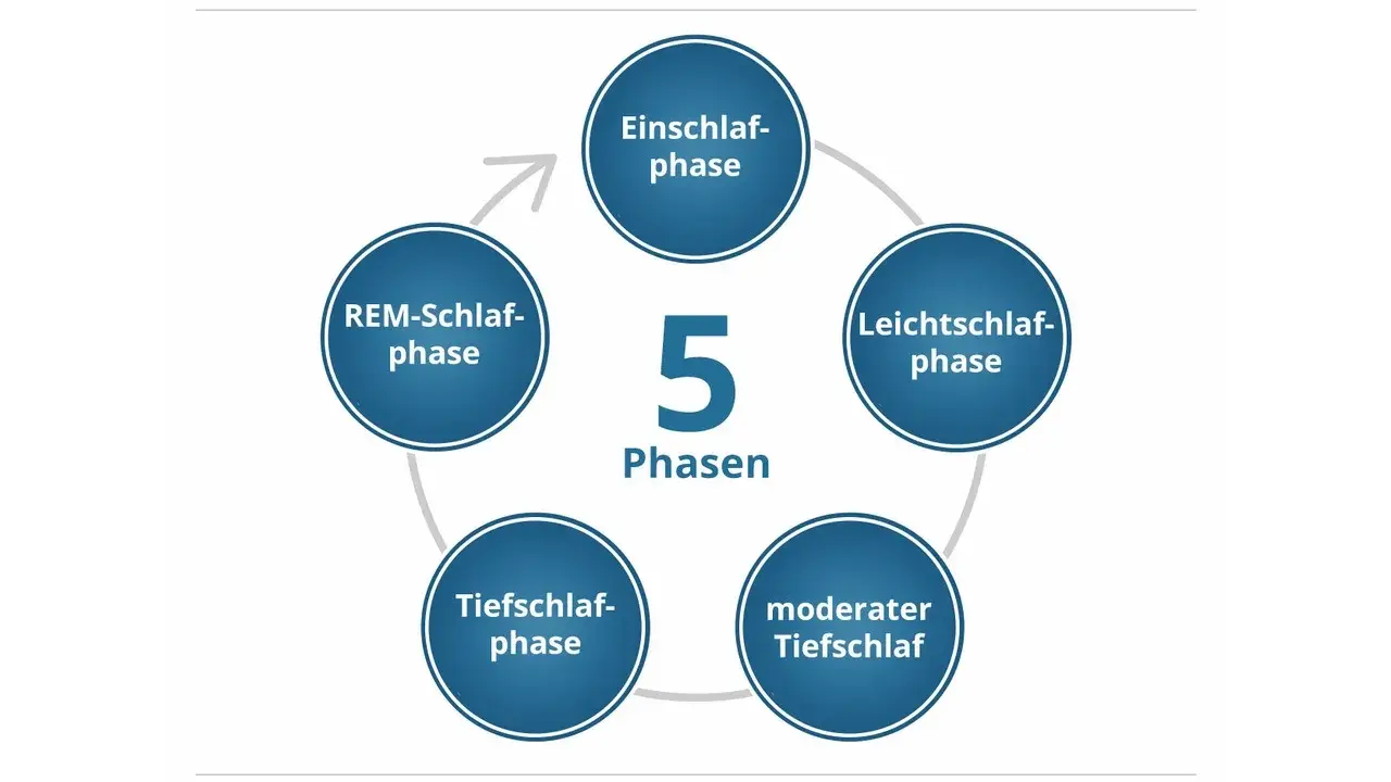 Der Schlafzyklus hat 5 Phasen: Einschlaf-, Leichtschlaf-, moderater Tiefschlaf-, Tiefschlaf- und REM-Schlaf-Phase.