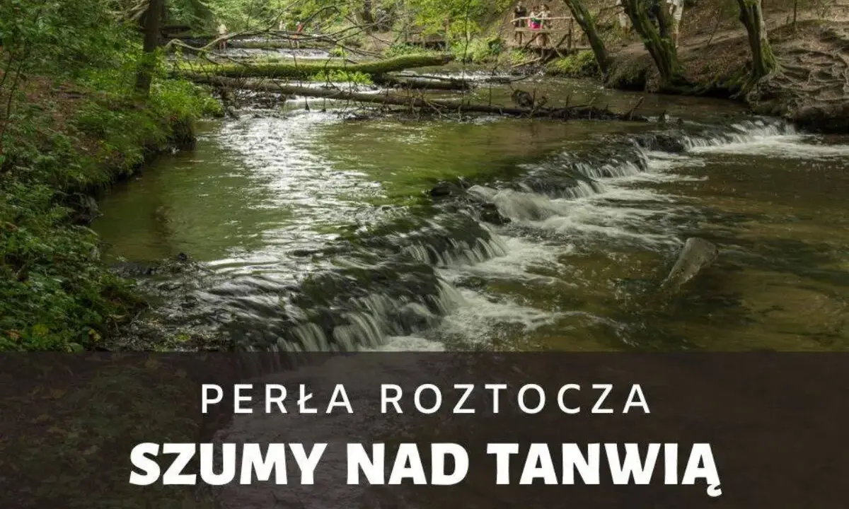 Malownicze szumy nad Tanwią, gdzie woda spływa po kamieniach, tworząc kaskady. W tle zielony las i ścieżka z kładką.