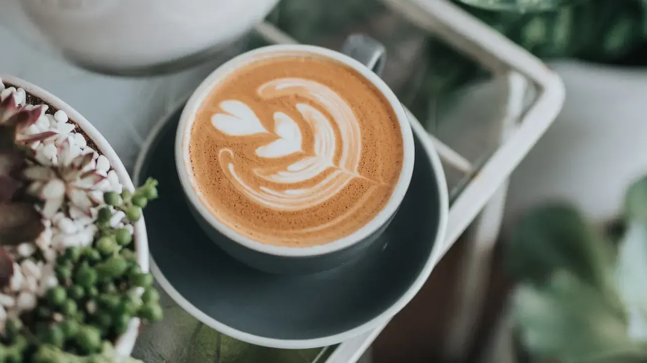 Ein **Cappuccino mit Filterkaffee**-Aroma, verziert mit Latte Art, neben Sukkulenten.