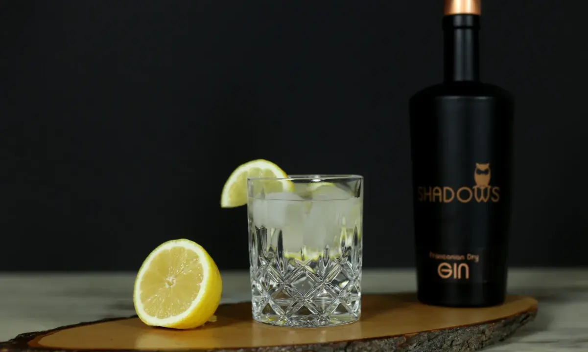 Erfrischender Gin Tonic mit Zitrone, Eis und einer Flasche "Shadows" Gin. Die perfekten gin tonic zutaten für einen lauen Abend.