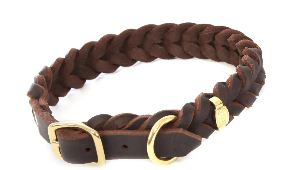 Braunes, geflochtenes Halsband aus Fettleder mit goldener Schnalle. Robust und stilvoll für deinen Hund.