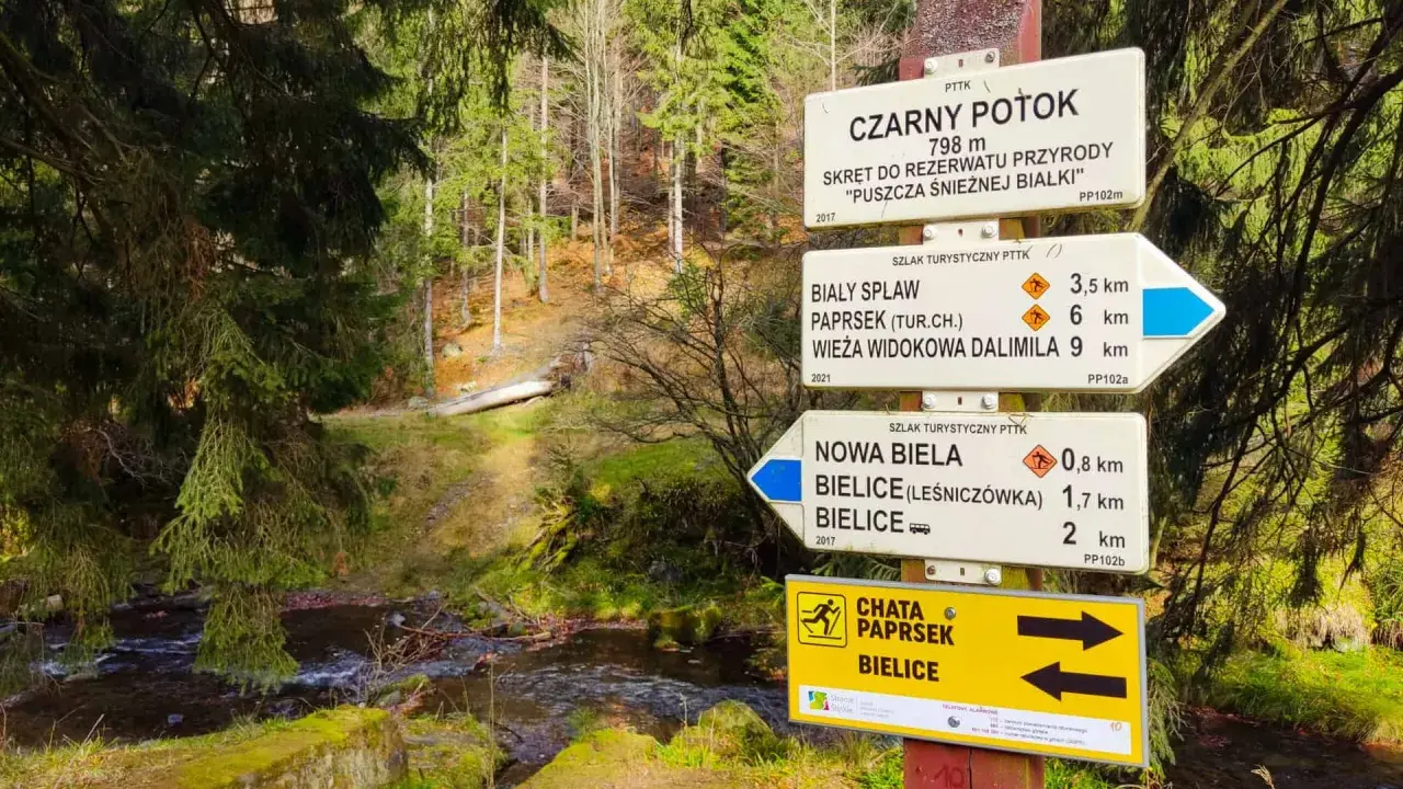 Kolory szlaków PTTK: Mit o trudności obalony! Co naprawdę znaczą?