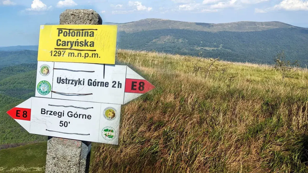 Połonina Caryńska, 1297 m n.p.m. Znaki wskazują drogę do Ustrzyk Górnych (2h) i Brzegów Górnych (50').
