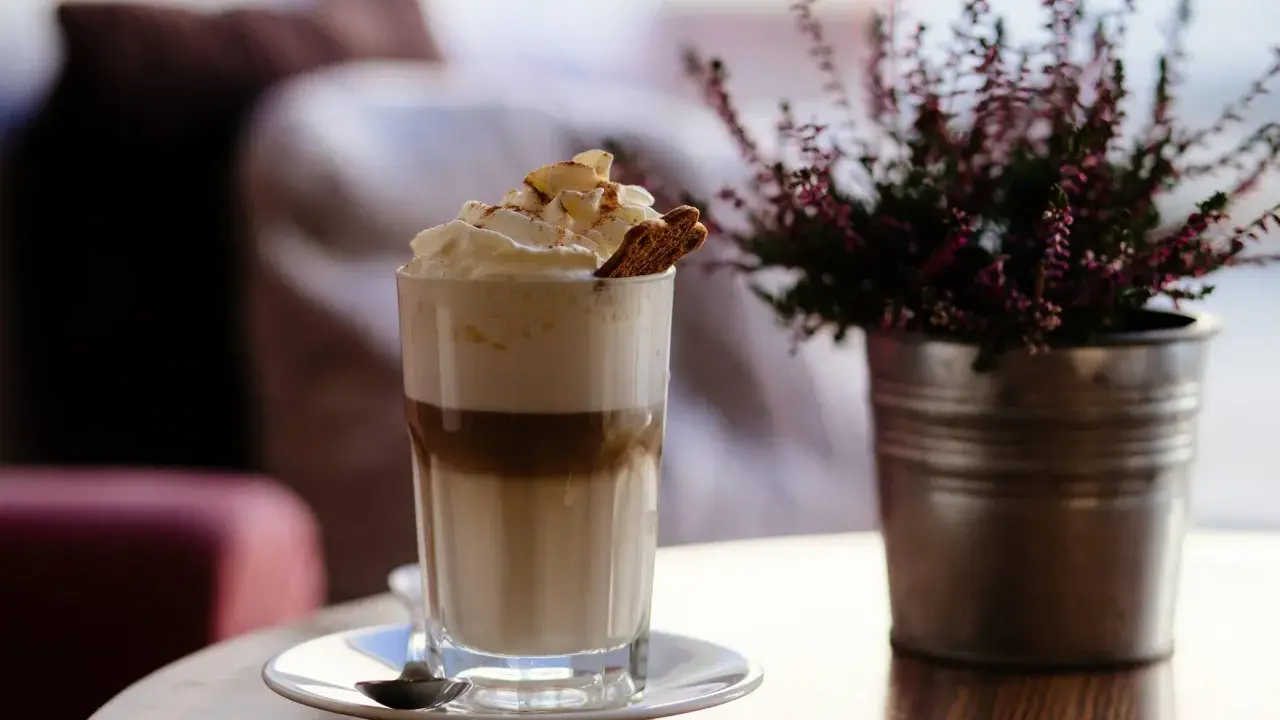 Ein hoher Frappe Espresso mit Sahne, Zimt und einem Keks. Daneben eine Topfpflanze.