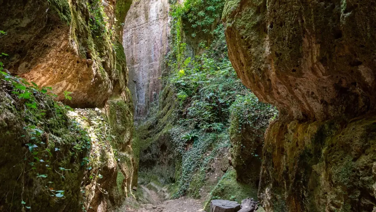 Sentiero tra le suggestive cave etrusche di Pitigliano, con pareti rocciose ricoperte di muschio e vegetazione.