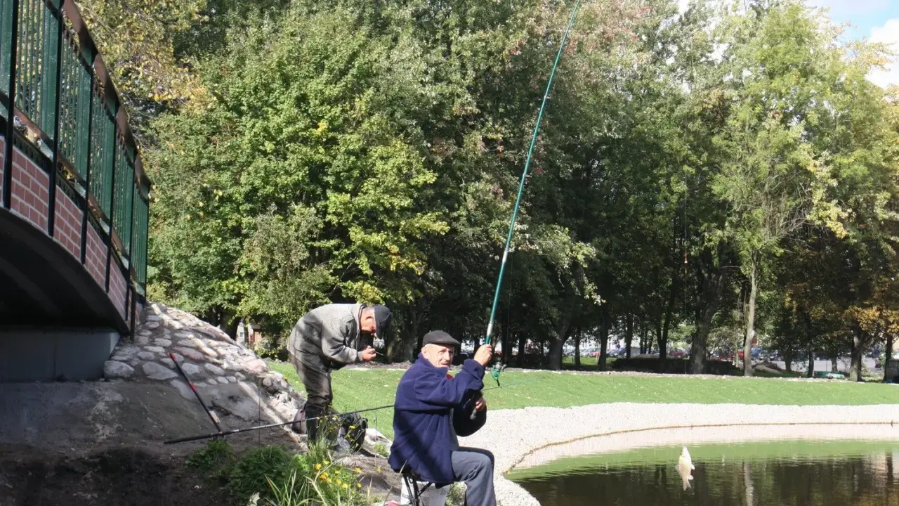 Dwóch wędkarzy łowi ryby nad jeziorem w Chojnicach. Jeden z nich właśnie wyciąga zdobycz.