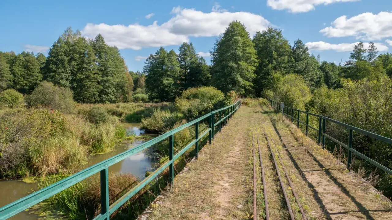 Most starych torów kolejowych nad rzeką, otoczony zielenią. Puszcza Białowieska atrakcje przyrodnicze.