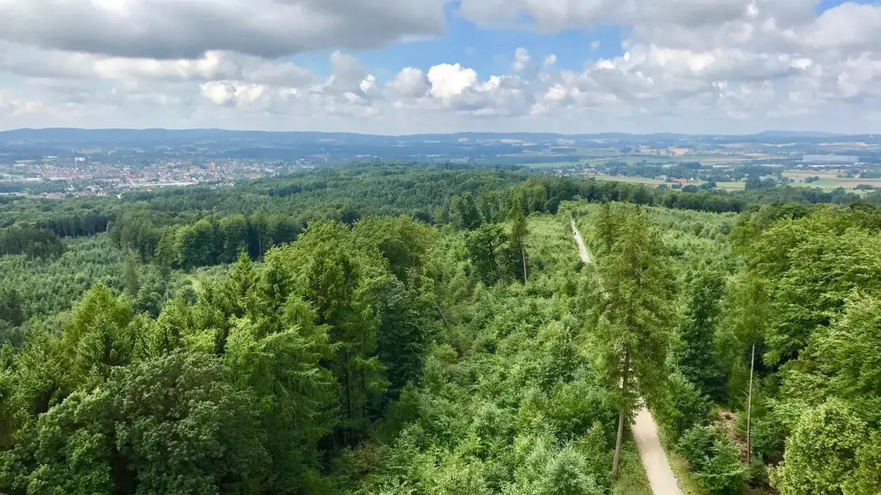 Blick über grüne Wälder und eine Stadt in der Ferne bei bewölktem Himmel.