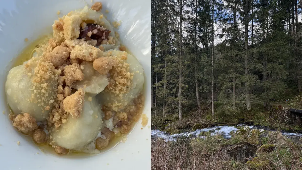 Pyszne pierogi z owocami i kruszonką, serwowane w bacówce Biały Potok, obok szumiącego górskiego potoku.