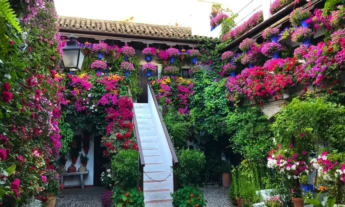 Blühende patios in Córdoba, ein Meer aus bunten Blumen, das sich über Wände und Treppen rankt.