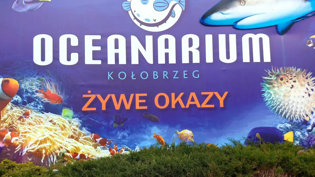 Oceanarium Kołobrzeg: Godziny otwarcia, ceny i jak zaplanować?