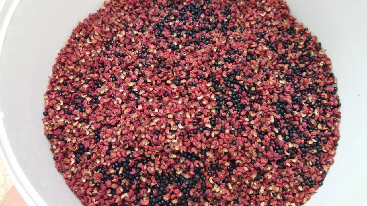 Un bol rempli de poivre de Sichuan rouge et noir, prêt pour la récolte. Le moment idéal pour quand récolter le poivre de Sichuan est quand les baies sont mûres.