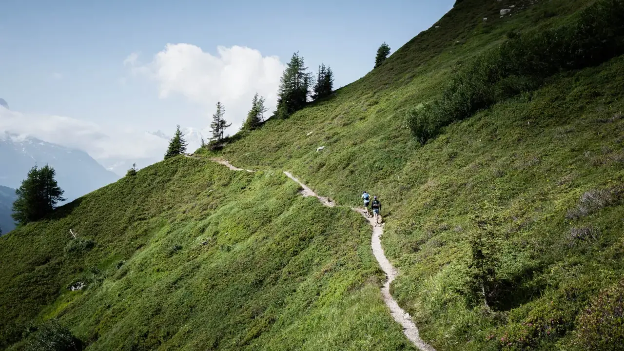 Zwei Wanderer genießen das bergauf laufen auf einem schmalen Pfad durch eine grüne Berglandschaft mit vereinzelten Bäumen und einem blauen Himmel.