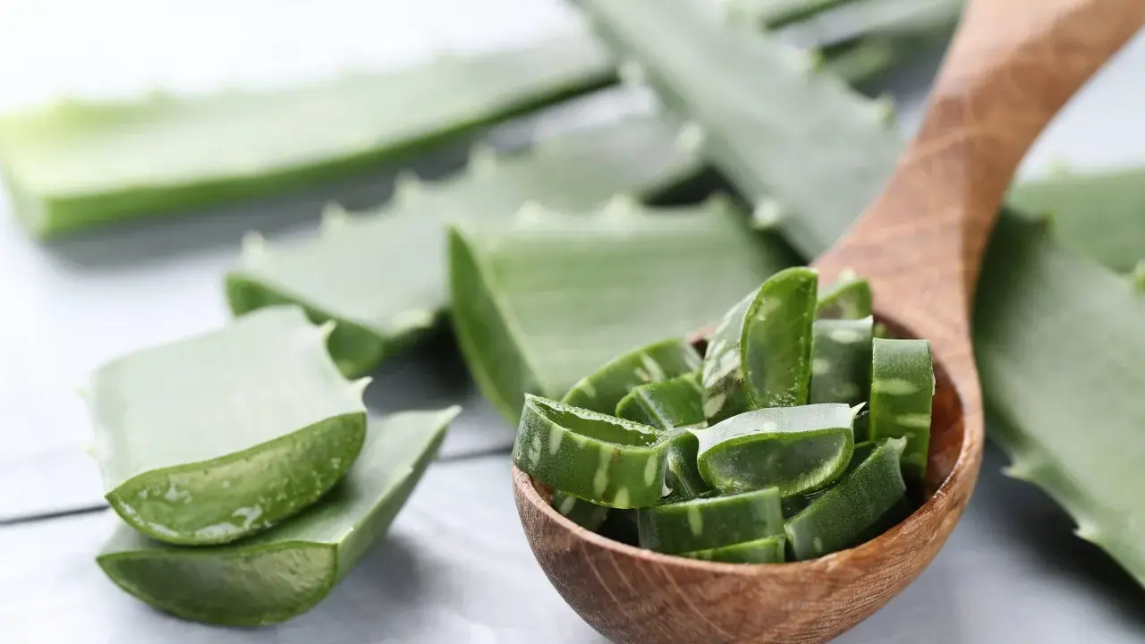 Aloe vera a fette in un cucchiaio di legno, pronte per scoprire come applicare aloe vera sulla pelle per un sollievo naturale.