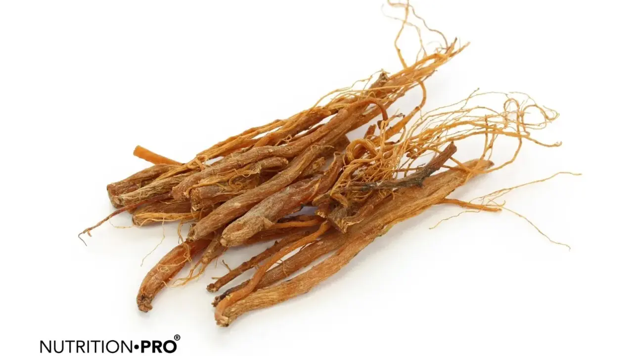 Racines de ginseng séchées, connues pour leurs ginseng bienfaits homme, sur fond blanc.