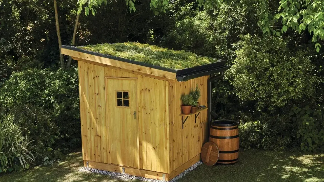 Budowa szopy drewnianej krok po kroku: gotowa, zielona szopa z beczką na deszczówkę w ogrodzie.