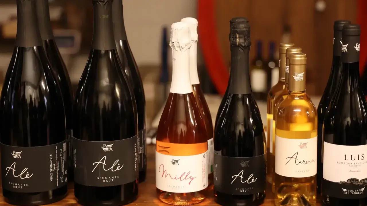 Bottiglie di spumante e passito del Podere dell'Angelo Rimini, tra cui "Ale" e "Milly", pronte per essere gustate.
