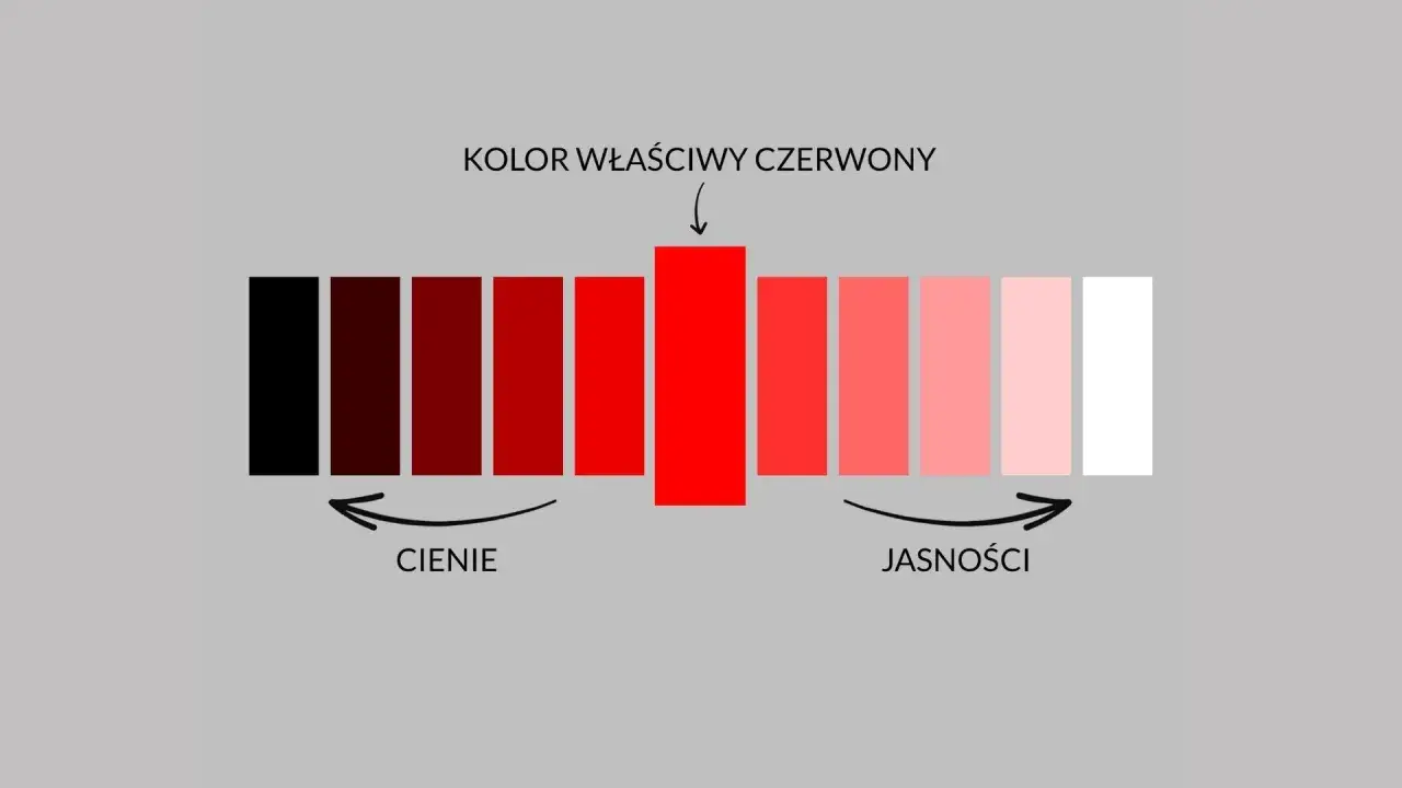 Paleta pokazuje różne odcienie czerwieni, od ciemnych cieni po jasne tony. Kolor właściwy czerwony jest centralnym punktem.