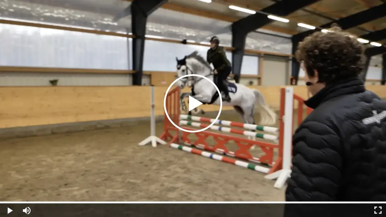 Ein Reiter auf einem Schimmel überwindet eine Hürde. Die Szene zeigt, was bedeutet EL beim Springen: die perfekte Koordination von Pferd und Reiter.