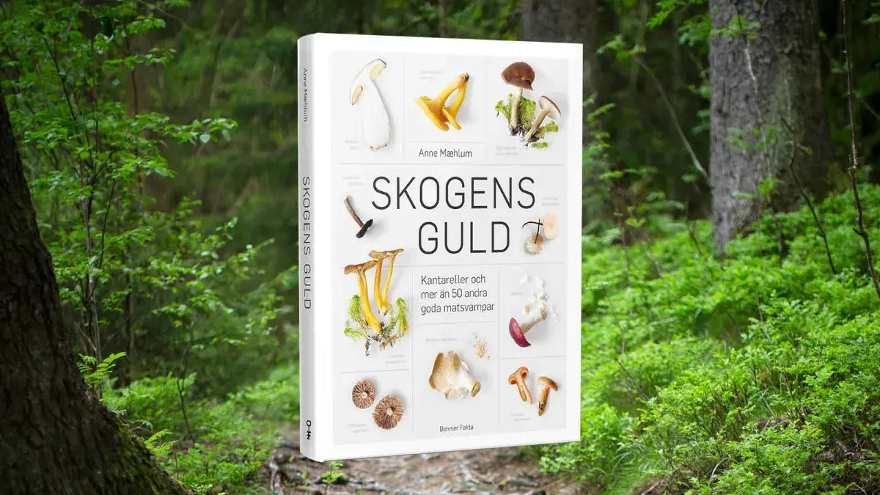 En bok om skogens guld, med bilder på kantareller och andra goda matsvampar.