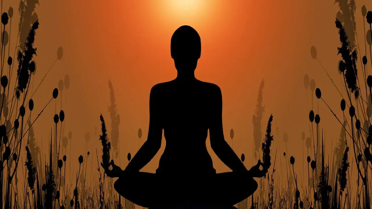 Silhuett av en person i meditationsställning, omgiven av gräs och med en solnedgång i bakgrunden. En bild som symboliserar meditation och hinduism.