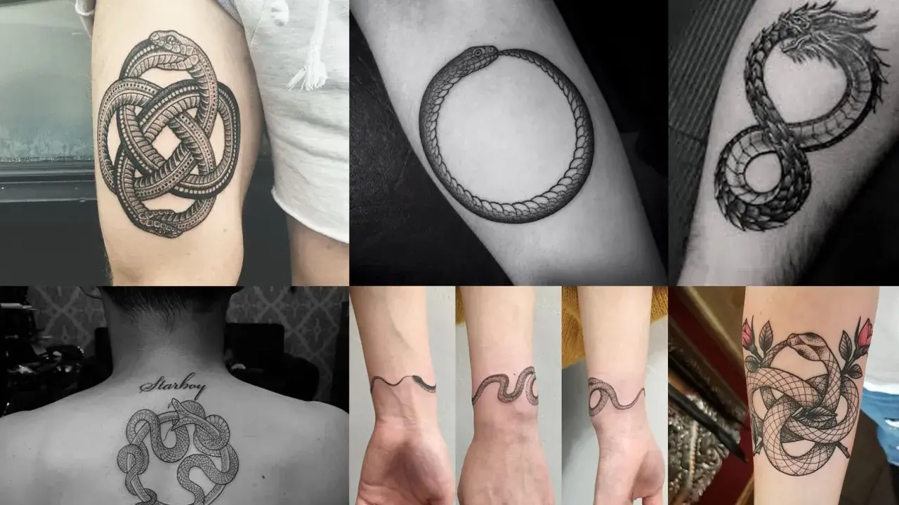 Tatouages de serpents entrelacés, symboles du temps et de l'éternité. Un Ouroboros, un dragon, et des motifs complexes ornent des bras, un dos et des poignets.
