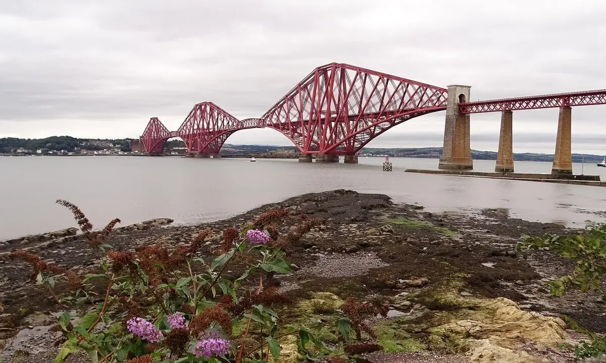 El icónico puente de Forth se alza majestuoso sobre el agua, con sus característicos arcos rojos. En primer plano, flores moradas y ramas secas añaden un toque de naturaleza a la escena.