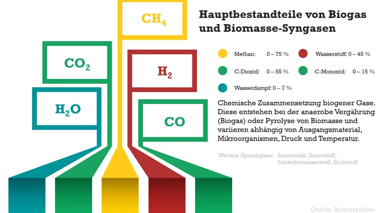 Grafik zeigt Hauptbestandteile von Biogas und Biomasse-Syngasen: CH4, CO2, H2O, H2, CO. Die biomasse produktion erklärt die chemische Zusammensetzung.
