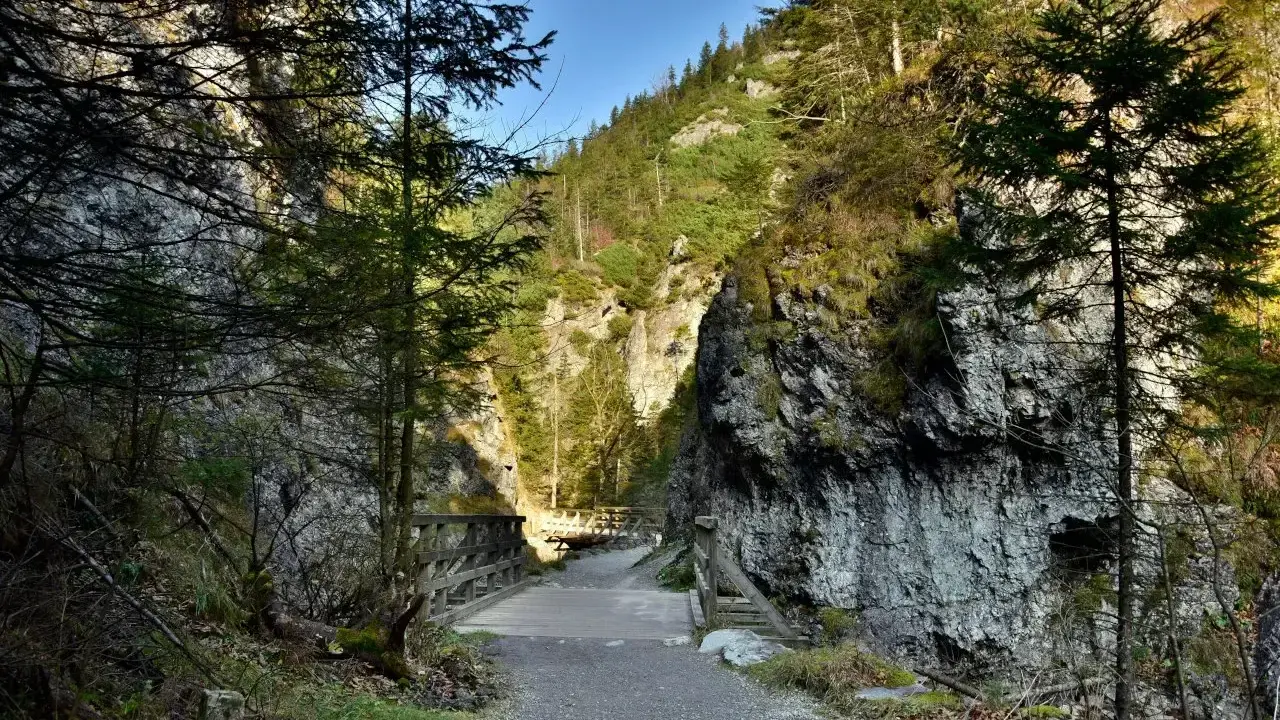 Kamienista ścieżka prowadzi przez wąwóz do drewnianego mostku. Idealne zakopane trasy dla seniorów, gdzie można podziwiać skalne ściany i las.