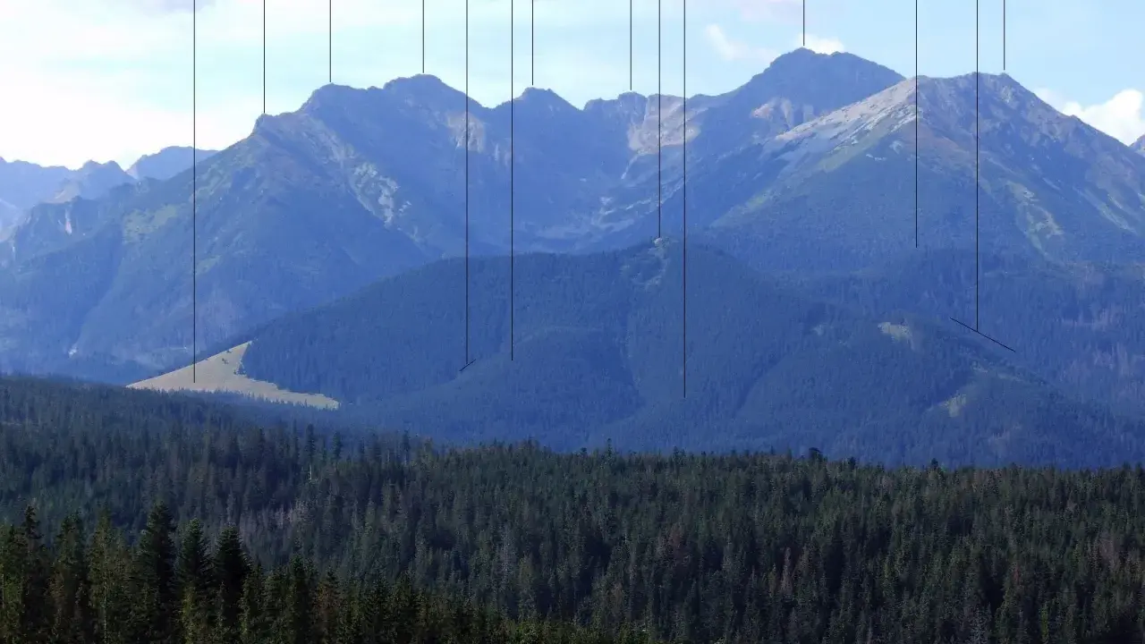 Gęsia szyja widoki na Tatry. Widać pasmo górskie z lasem iglastym na pierwszym planie i skalistymi szczytami w tle, oznaczonymi nazwami.