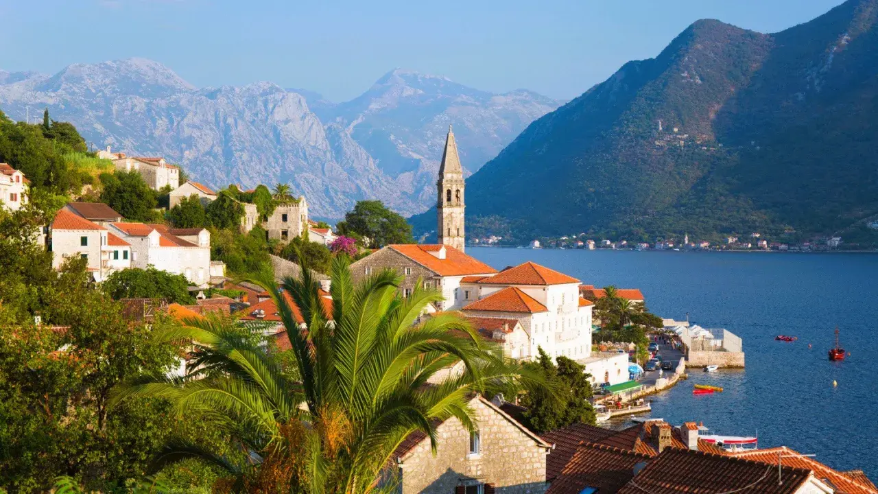 Perast, Czarnogóra – jedno z najpiękniejszych miejsc w Europie. Białe domy z czerwonymi dachami, palmowe liście i błękitna zatoka.