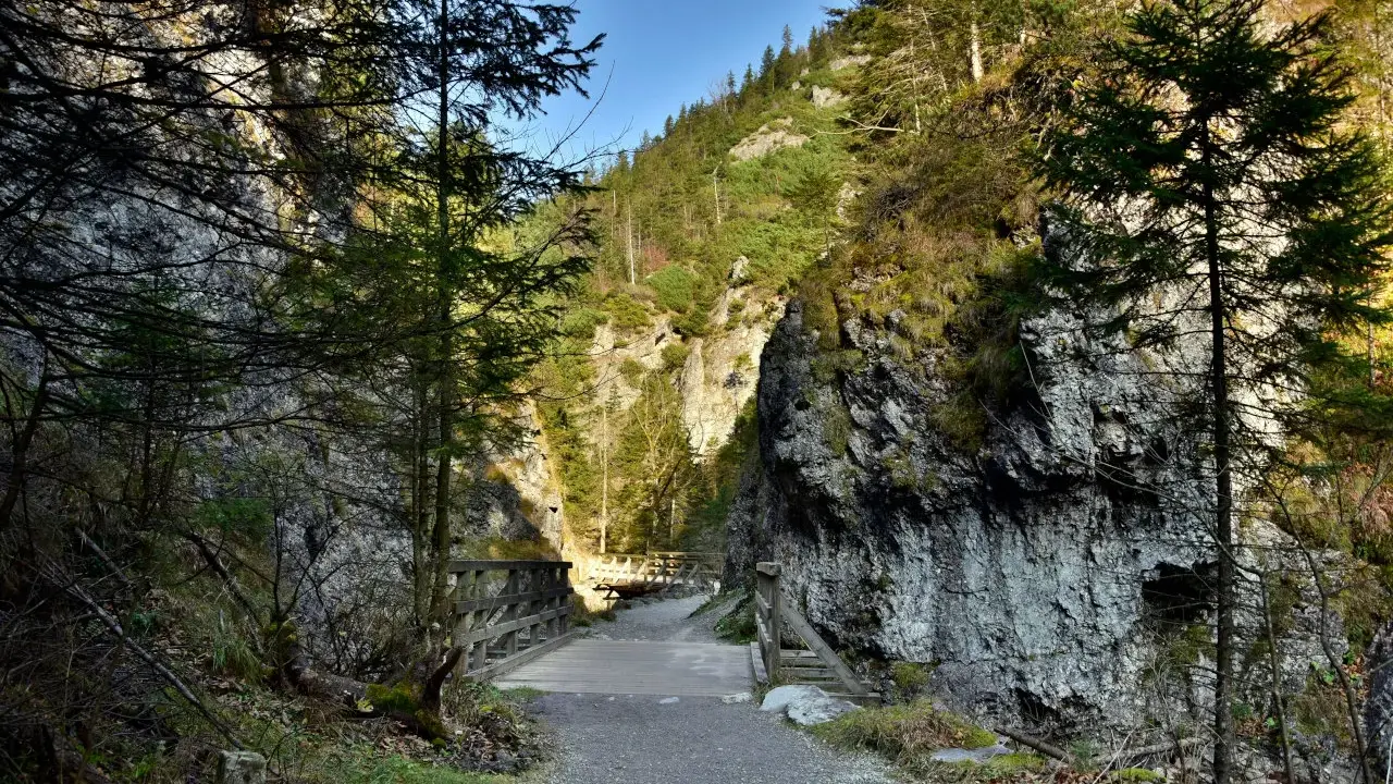 Kamienna ścieżka prowadzi przez wąwóz, przez drewniane mostki. Piękna zakopane trasa w otoczeniu gór i lasu.
