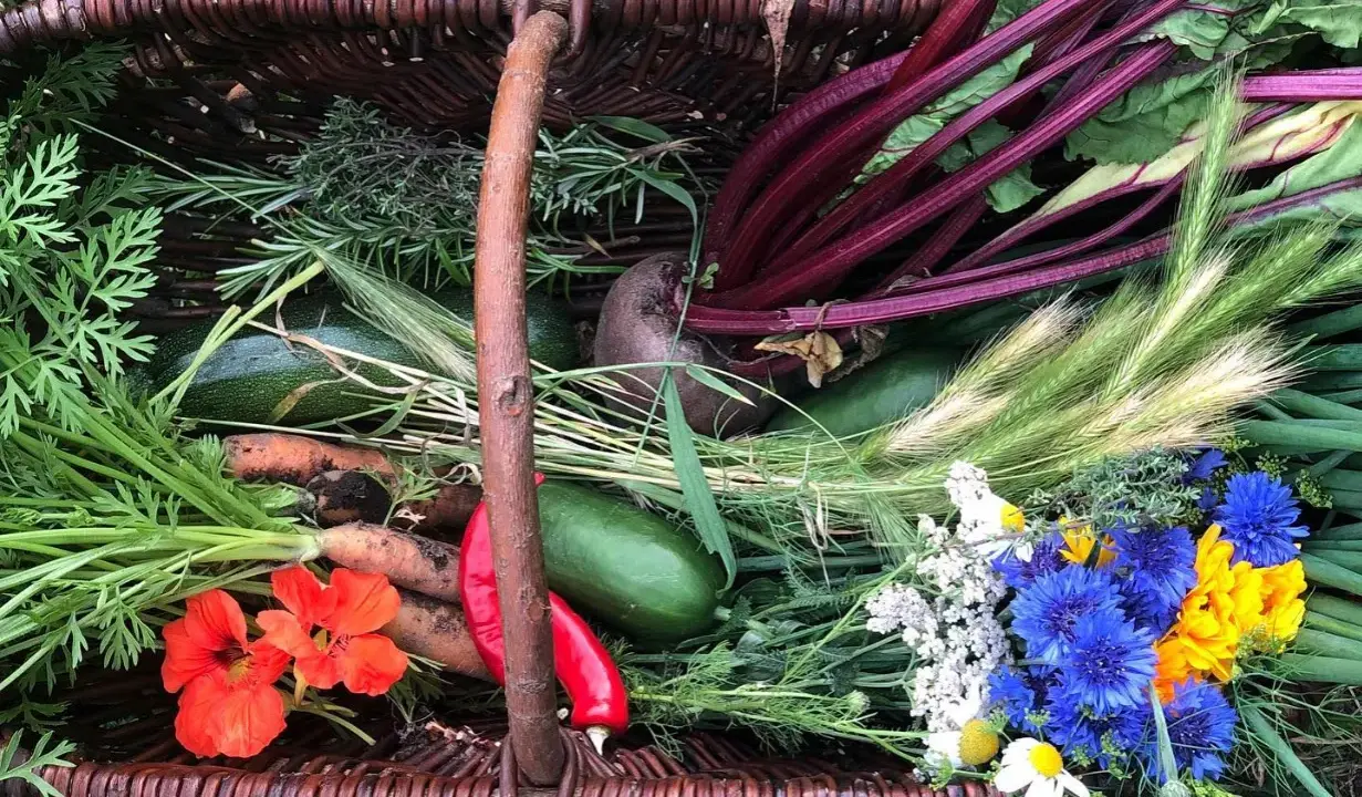 Korb mit frischem Gemüse: Rote Bete, Karotten, Zucchini, Kräuter und bunte Blumen.