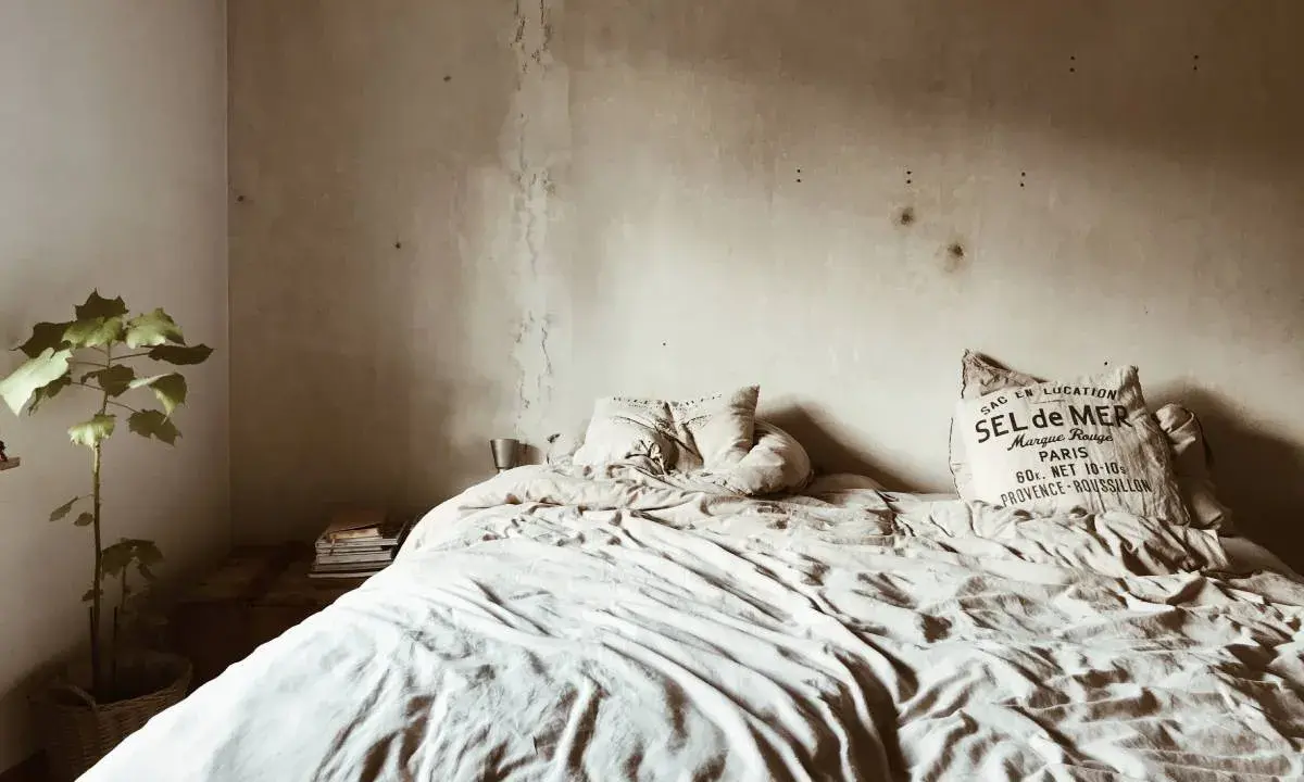 Cama desordenada con manchas de humedad en la pared, indicando las consecuencias de dormir en un colchón con moho. Una planta en maceta y libros añaden un toque hogareño.