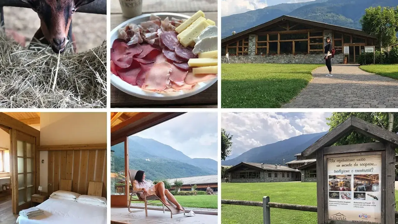 Un agriturismo in montagna in estate: capretta curiosa, tagliere di salumi e formaggi, un edificio moderno, una camera accogliente e una donna rilassata con vista panoramica.