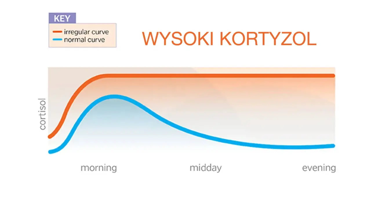 Wysoki kortyzol? Rozpoznaj objawy i obniż go naturalnie!