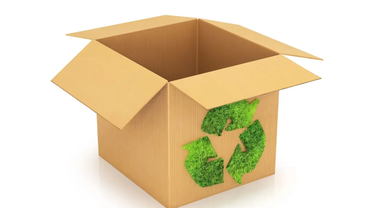 Otwarty karton z zielonym symbolem recyklingu z trawy. To przykład eko opakowania, które dba o naszą planetę.