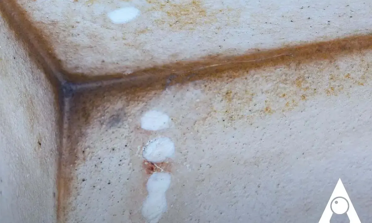 Angoli di un muro con evidenti macchie e aloni, segni di diversi tipi di muffa sui muri.