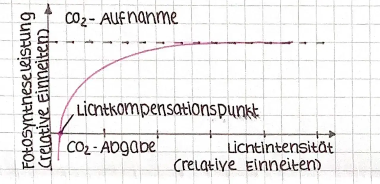 Diagramm zeigt die Abhängigkeit der Fotosynthese von außenfaktoren: CO₂-Aufnahme steigt mit Lichtintensität bis zum Sättigungspunkt.