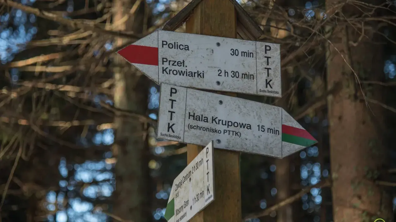 Drewniany słup z drogowskazami PTTK w lesie. Wskazuje polica szlaki do Przeł. Krowiarki (30 min) i Hali Krupowej (15 min).