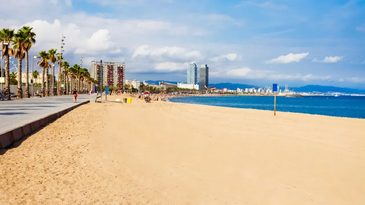 Słoneczna barcelona plaża z palmami i nowoczesnymi budynkami w tle.